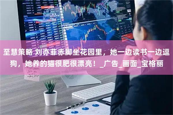 至慧策略 刘亦菲赤脚坐花园里，她一边读书一边逗狗，她养的猫很肥很漂亮！_广告_画面_宝格丽