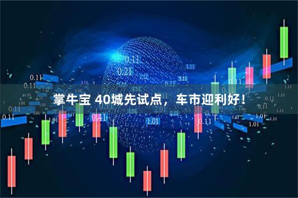 掌牛宝 40城先试点，车市迎利好！
