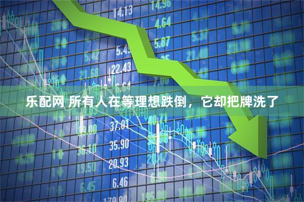 乐配网 所有人在等理想跌倒，它却把牌洗了